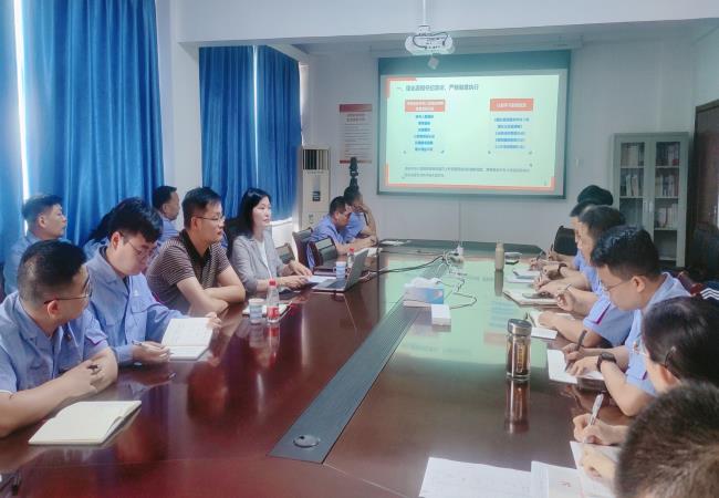軸研所黨委副書記、紀委書記江瑋到銷售公司調研并講授黨紀專題黨課